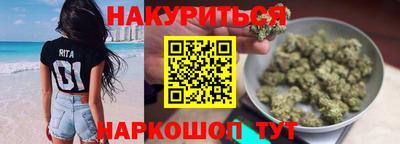 сатива Моздок