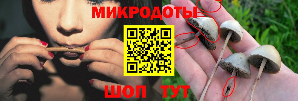 Пыть-Ях  Псилоцибиновые грибы ЛСД  цены   Вход с VPN 